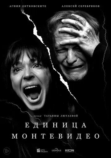 Единица Монтевидео 